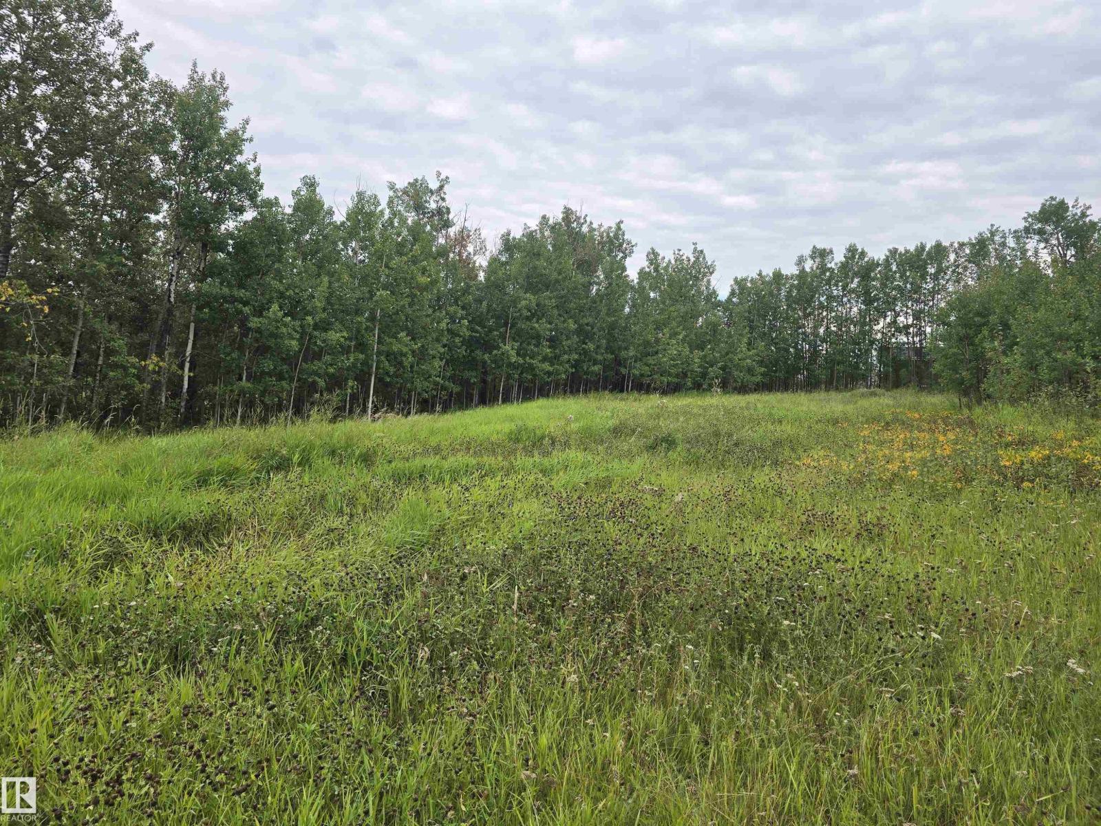 21-55022 Lac Ste. Anne Trail, Rural Lac Ste. Anne County, Alberta  T0E 1A0 - Photo 4 - E4477371
