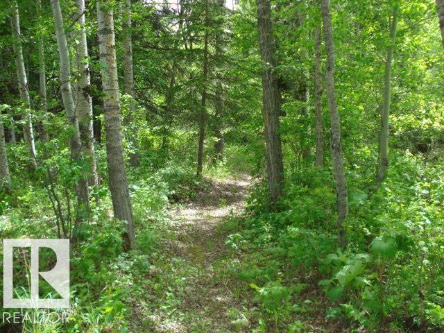 77 Crystal Springs Drive, Rural Wetaskiwin County, Alberta T0C 2V0 - Photo 17 - E4477389