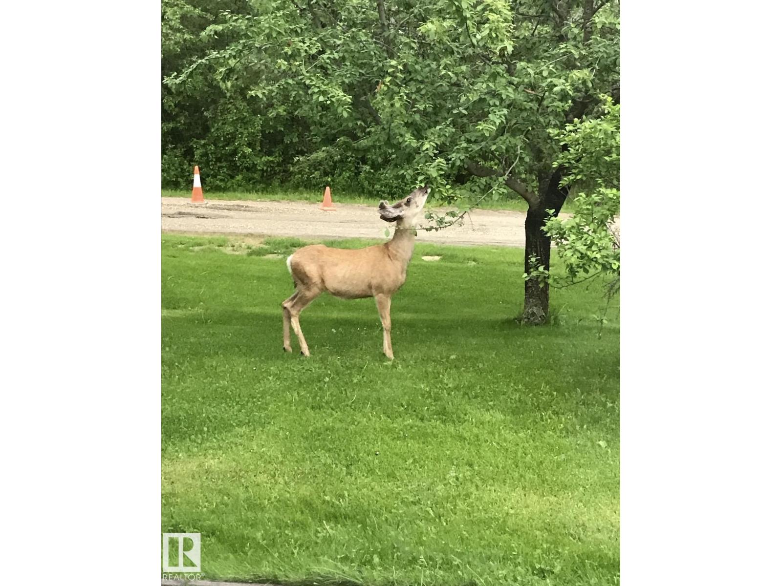 2 Bay Drive, Rural Lac Ste. Anne County, Alberta  T0E 0V0 - Photo 40 - E4477520