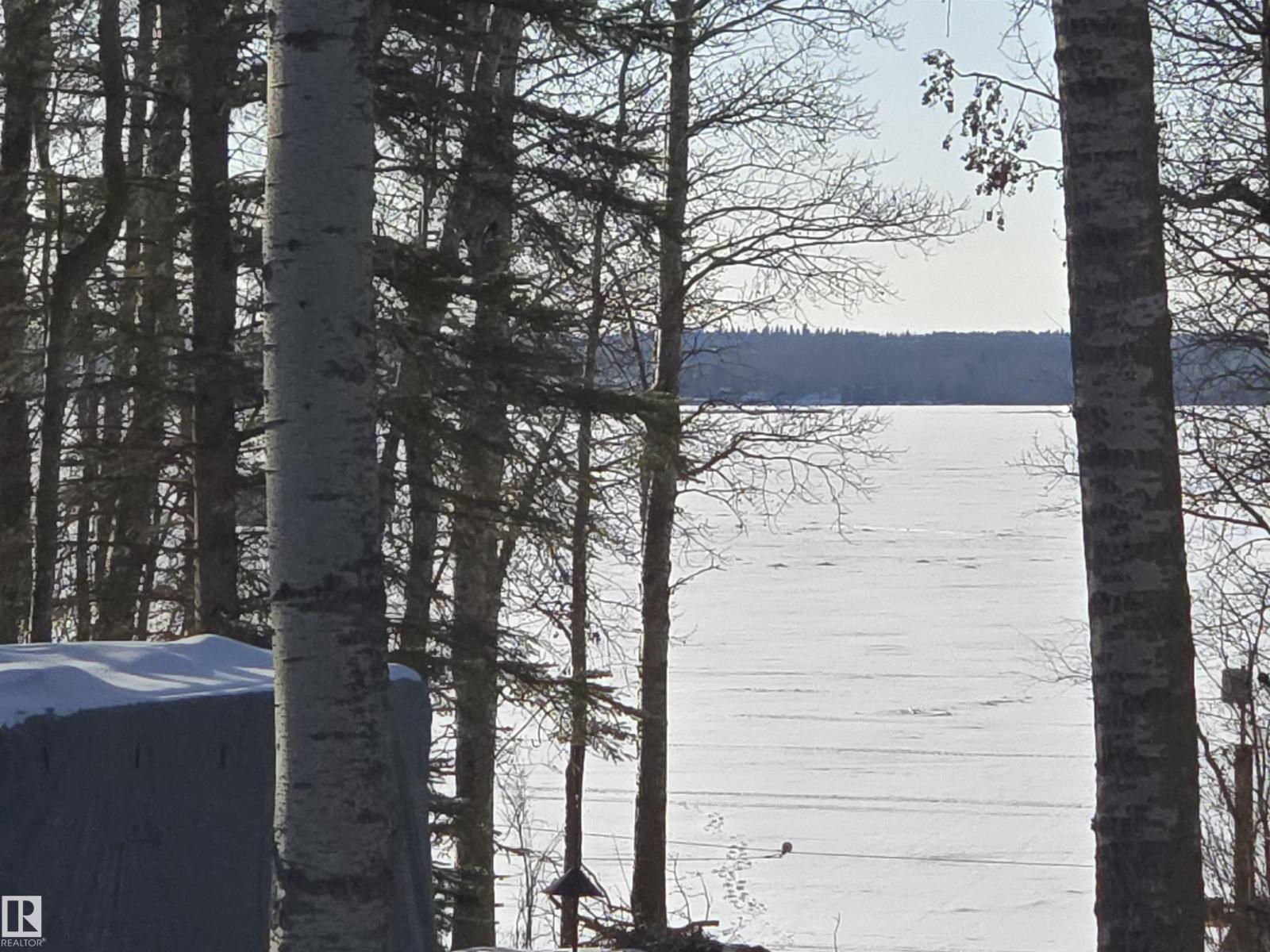 3 Conifer Cr, Rural Lac Ste. Anne County, Alberta  T0E 0V0 - Photo 30 - E4477703