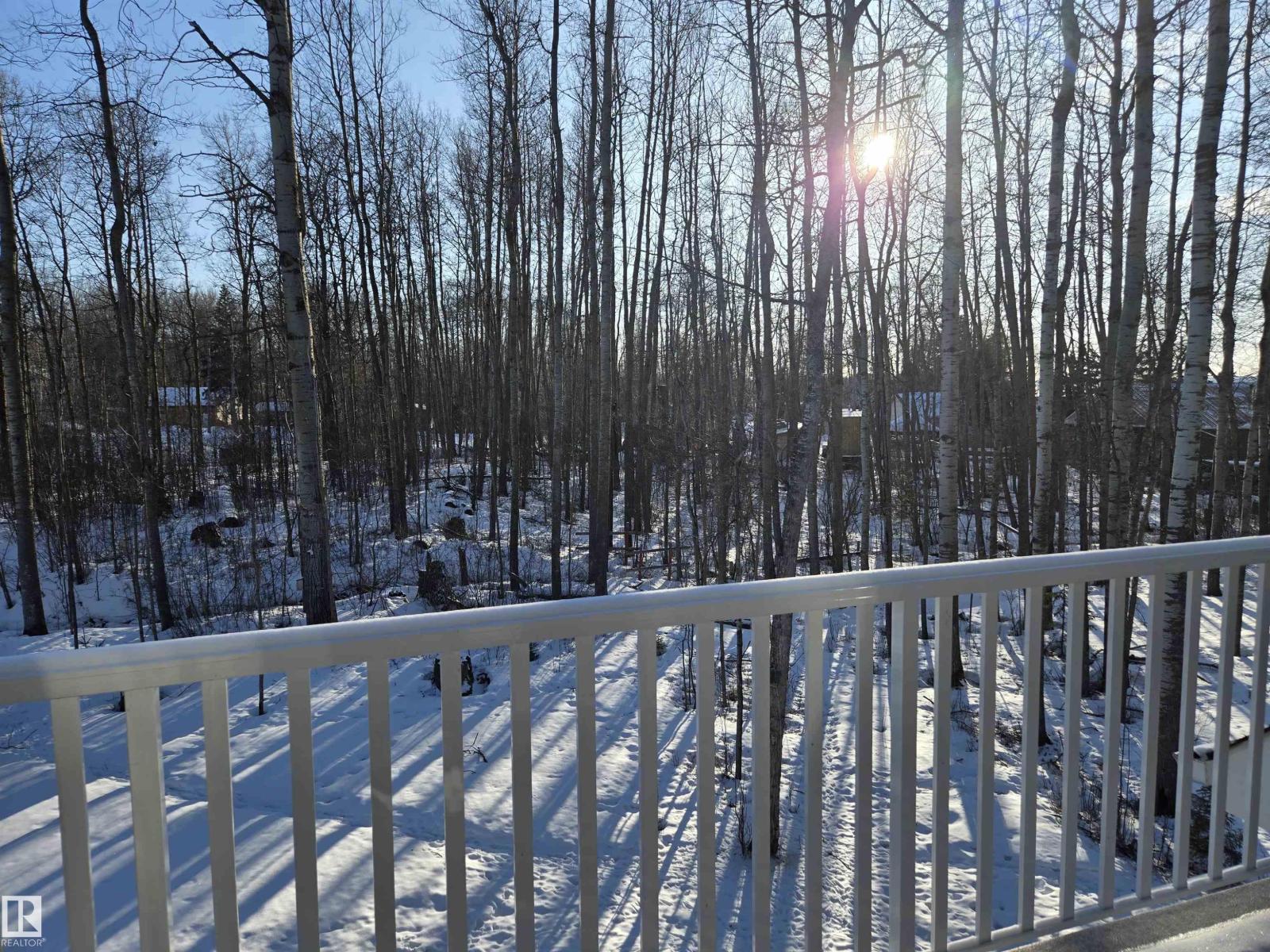 3 Conifer Cr, Rural Lac Ste. Anne County, Alberta  T0E 0V0 - Photo 34 - E4477703