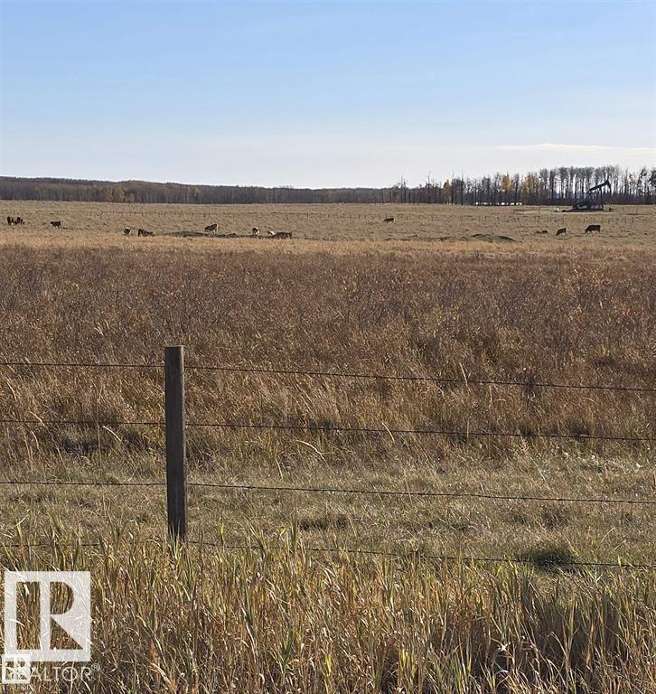 465051 Rge Road 41, Rural Wetaskiwin County, Alberta  T0C 2X0 - Photo 23 - E4477760