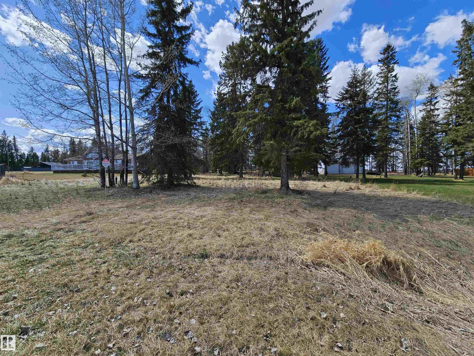 106 2 St, Rural Wetaskiwin County, Alberta  T0C 0T0 - Photo 1 - E4477793