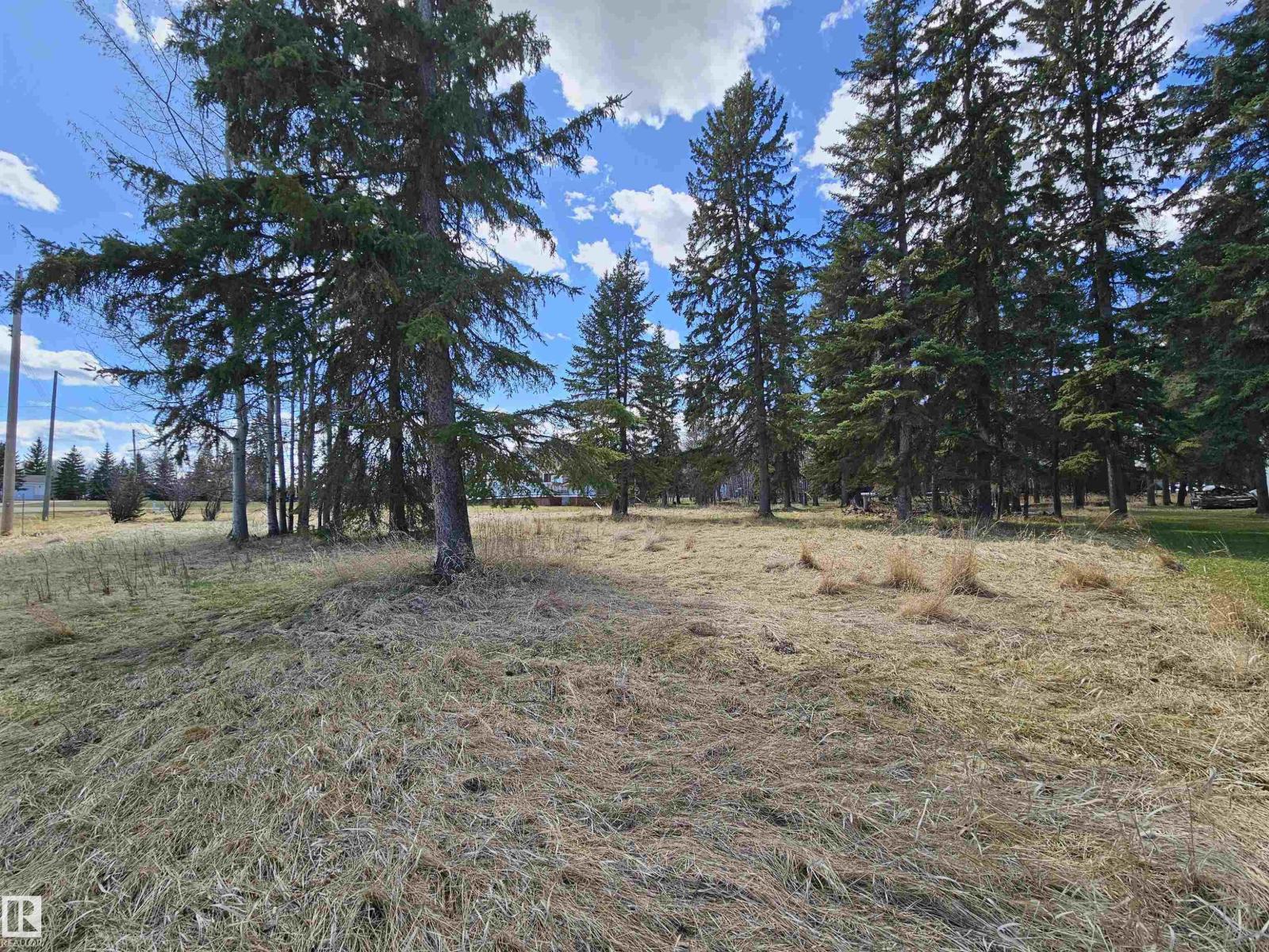 106 2 St, Rural Wetaskiwin County, Alberta  T0C 0T0 - Photo 2 - E4477793