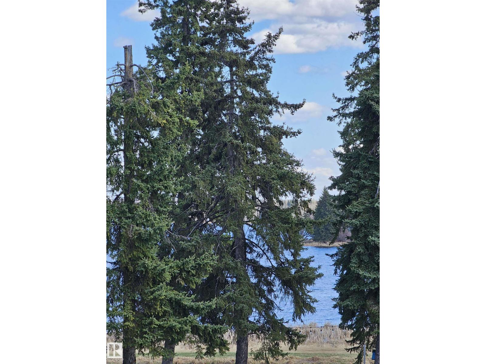 106 2 St, Rural Wetaskiwin County, Alberta  T0C 0T0 - Photo 4 - E4477793