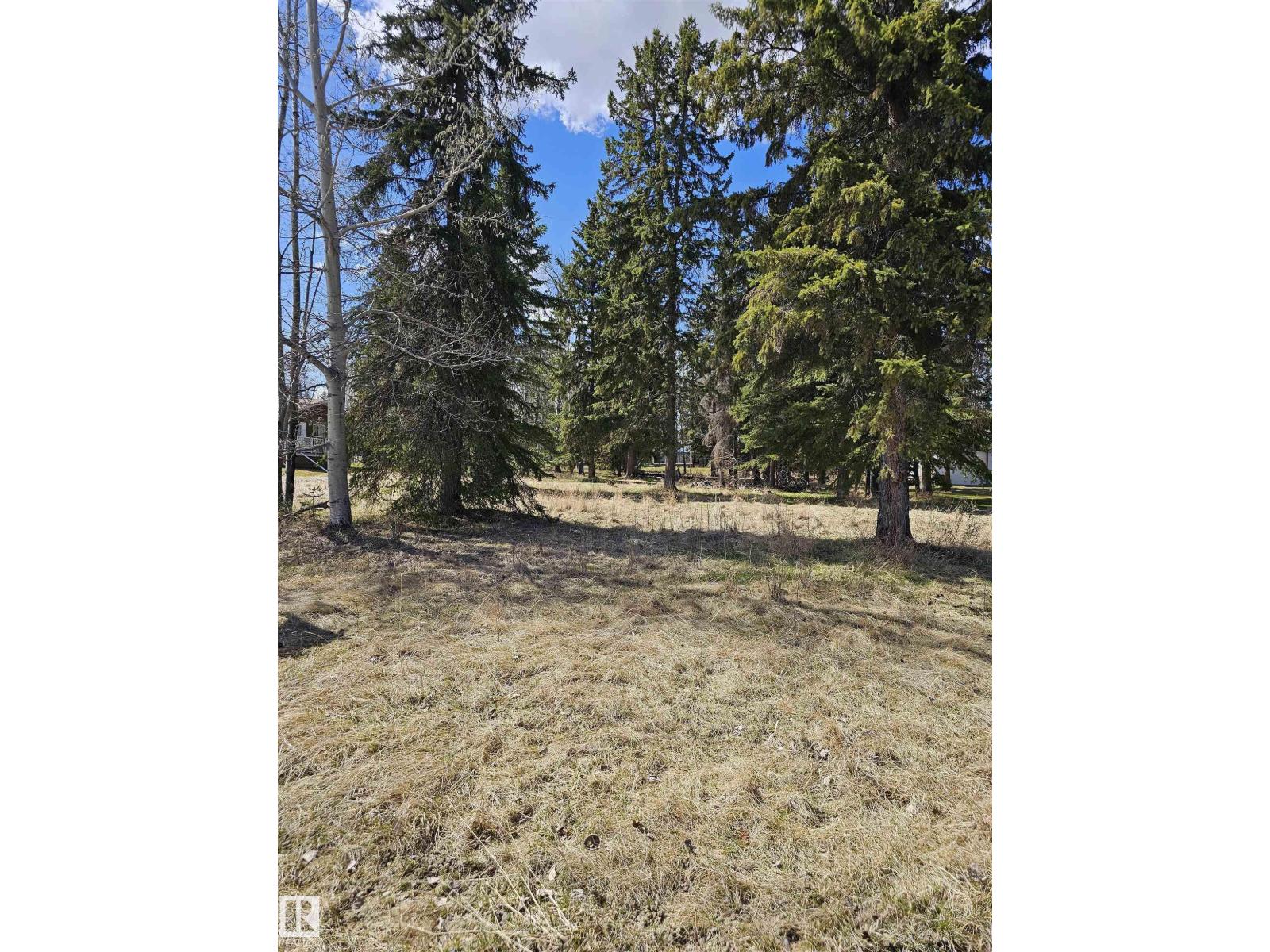 106 2 St, Rural Wetaskiwin County, Alberta  T0C 0T0 - Photo 5 - E4477793