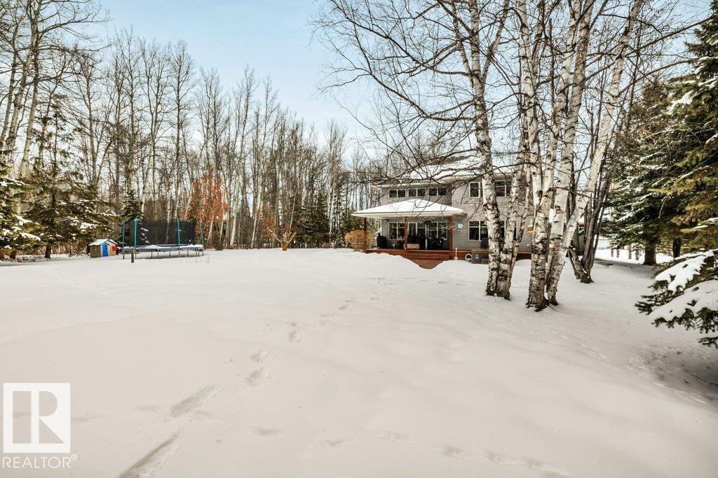 111 Crystal Springs Drive, Rural Wetaskiwin County, Alberta  T0C 2V0 - Photo 34 - E4478124