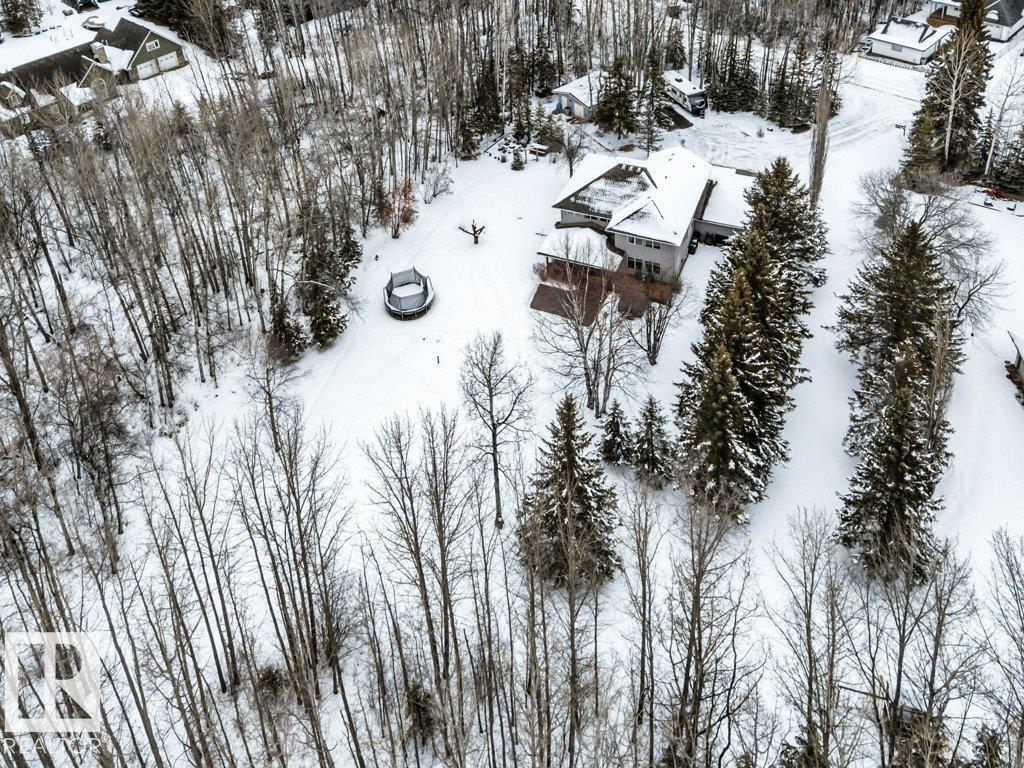 111 Crystal Springs Drive, Rural Wetaskiwin County, Alberta  T0C 2V0 - Photo 42 - E4478124