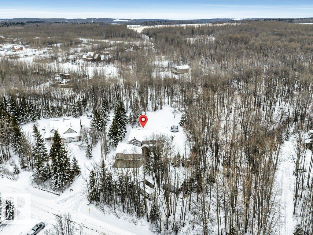 111 Crystal Springs Drive, Rural Wetaskiwin County, Alberta  T0C 2V0 - Photo 44 - E4478124