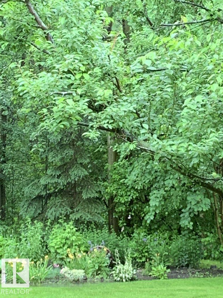 111 Crystal Springs Drive, Rural Wetaskiwin County, Alberta  T0C 2V0 - Photo 55 - E4478124