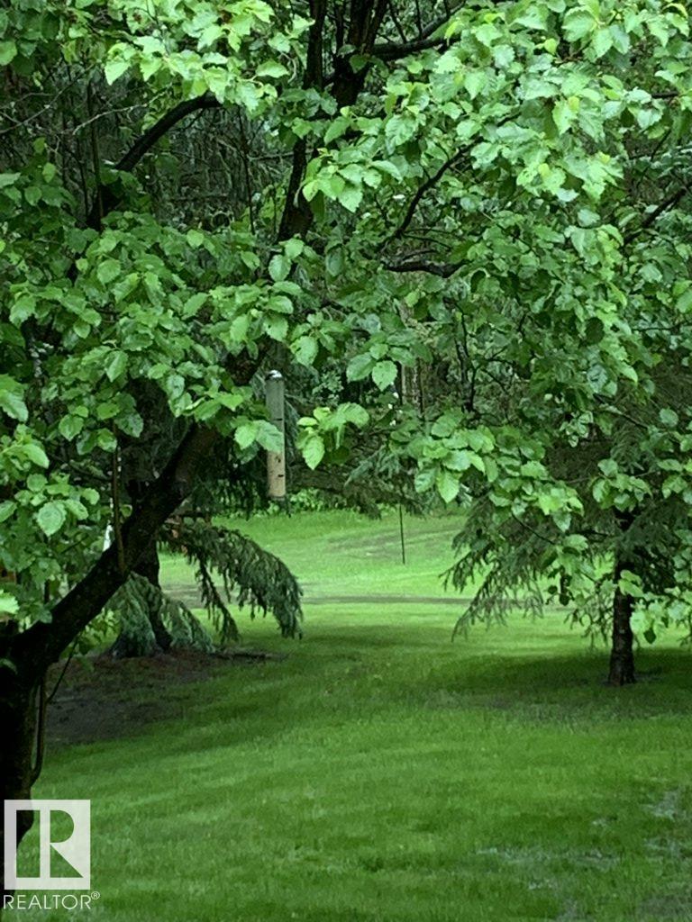 111 Crystal Springs Drive, Rural Wetaskiwin County, Alberta  T0C 2V0 - Photo 57 - E4478124