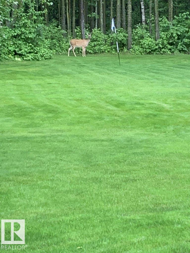 111 Crystal Springs Drive, Rural Wetaskiwin County, Alberta  T0C 2V0 - Photo 58 - E4478124