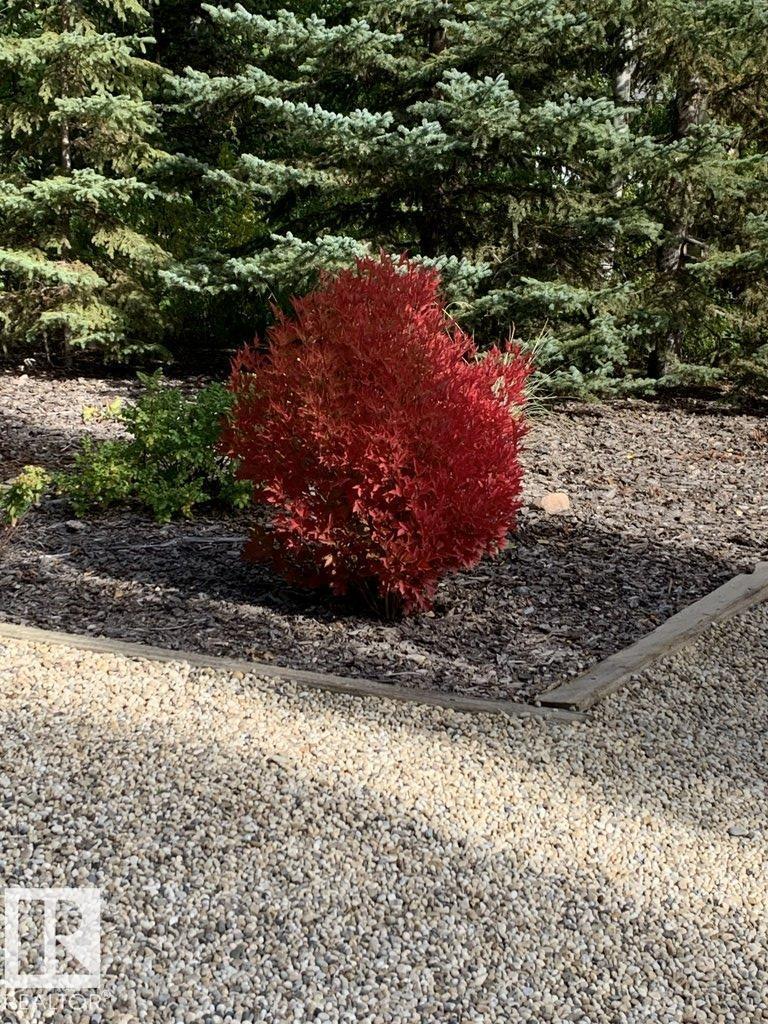 111 Crystal Springs Drive, Rural Wetaskiwin County, Alberta  T0C 2V0 - Photo 59 - E4478124