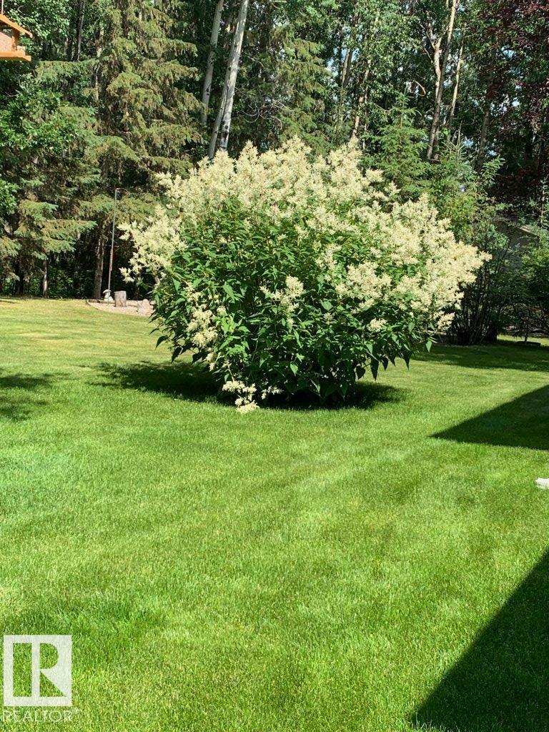 111 Crystal Springs Drive, Rural Wetaskiwin County, Alberta  T0C 2V0 - Photo 62 - E4478124