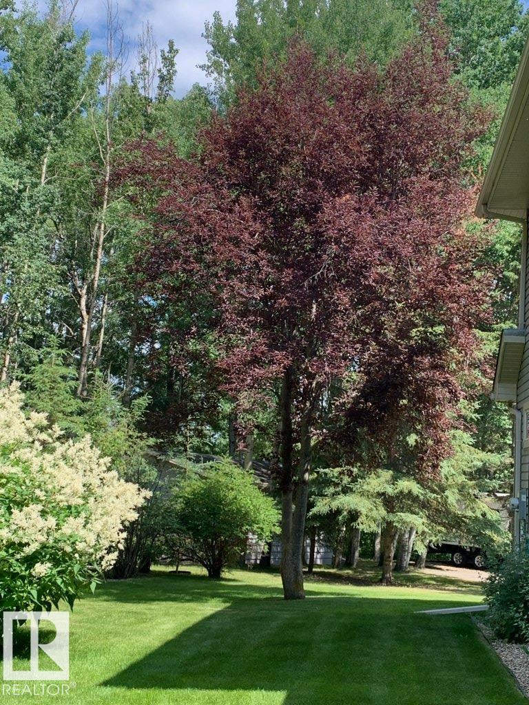 111 Crystal Springs Drive, Rural Wetaskiwin County, Alberta  T0C 2V0 - Photo 63 - E4478124