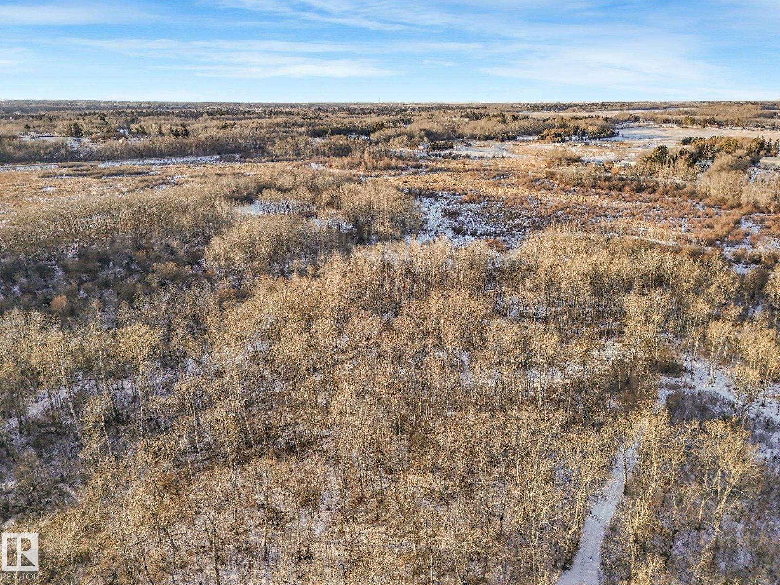 #42 473051 Rge Road 242, Rural Wetaskiwin County, Alberta  T0C 1Z0 - Photo 10 - E4478334