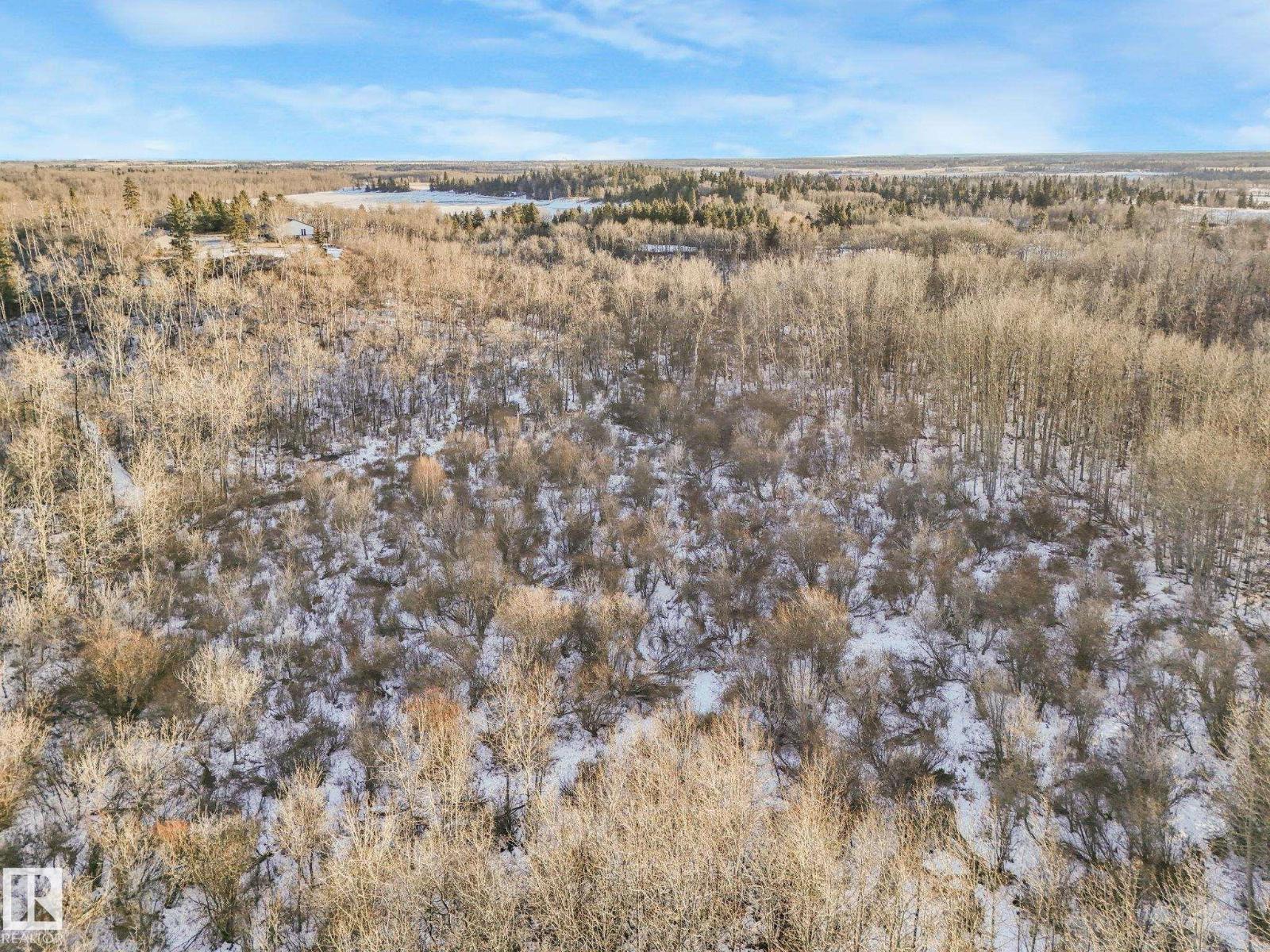 #42 473051 Rge Road 242, Rural Wetaskiwin County, Alberta  T0C 1Z0 - Photo 13 - E4478334