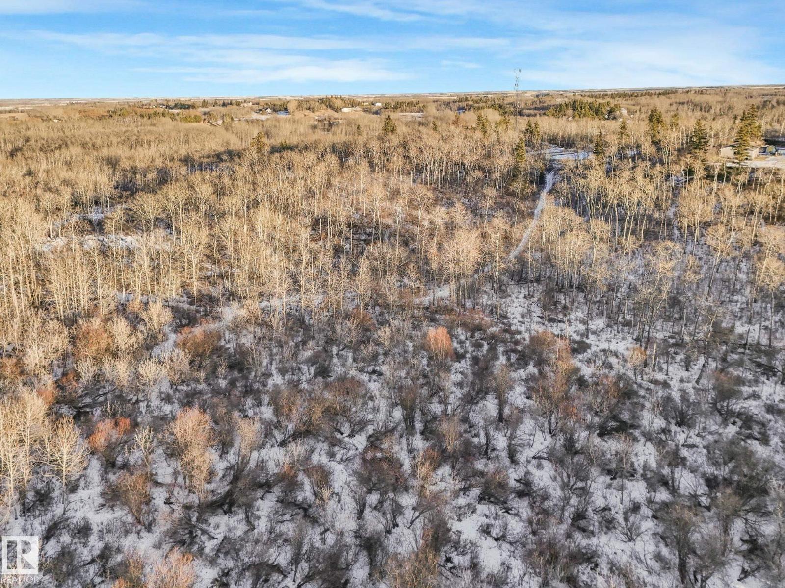 #42 473051 Rge Road 242, Rural Wetaskiwin County, Alberta  T0C 1Z0 - Photo 14 - E4478334