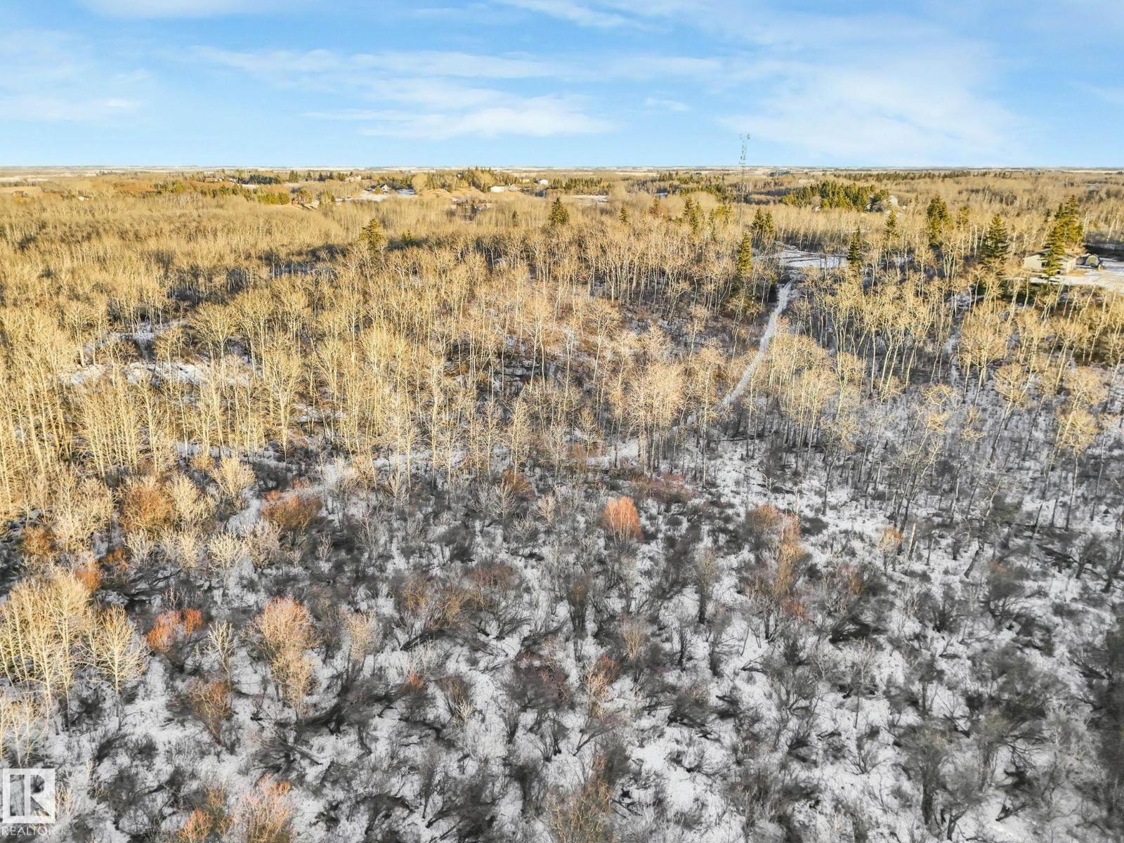 #42 473051 Rge Road 242, Rural Wetaskiwin County, Alberta  T0C 1Z0 - Photo 30 - E4478334