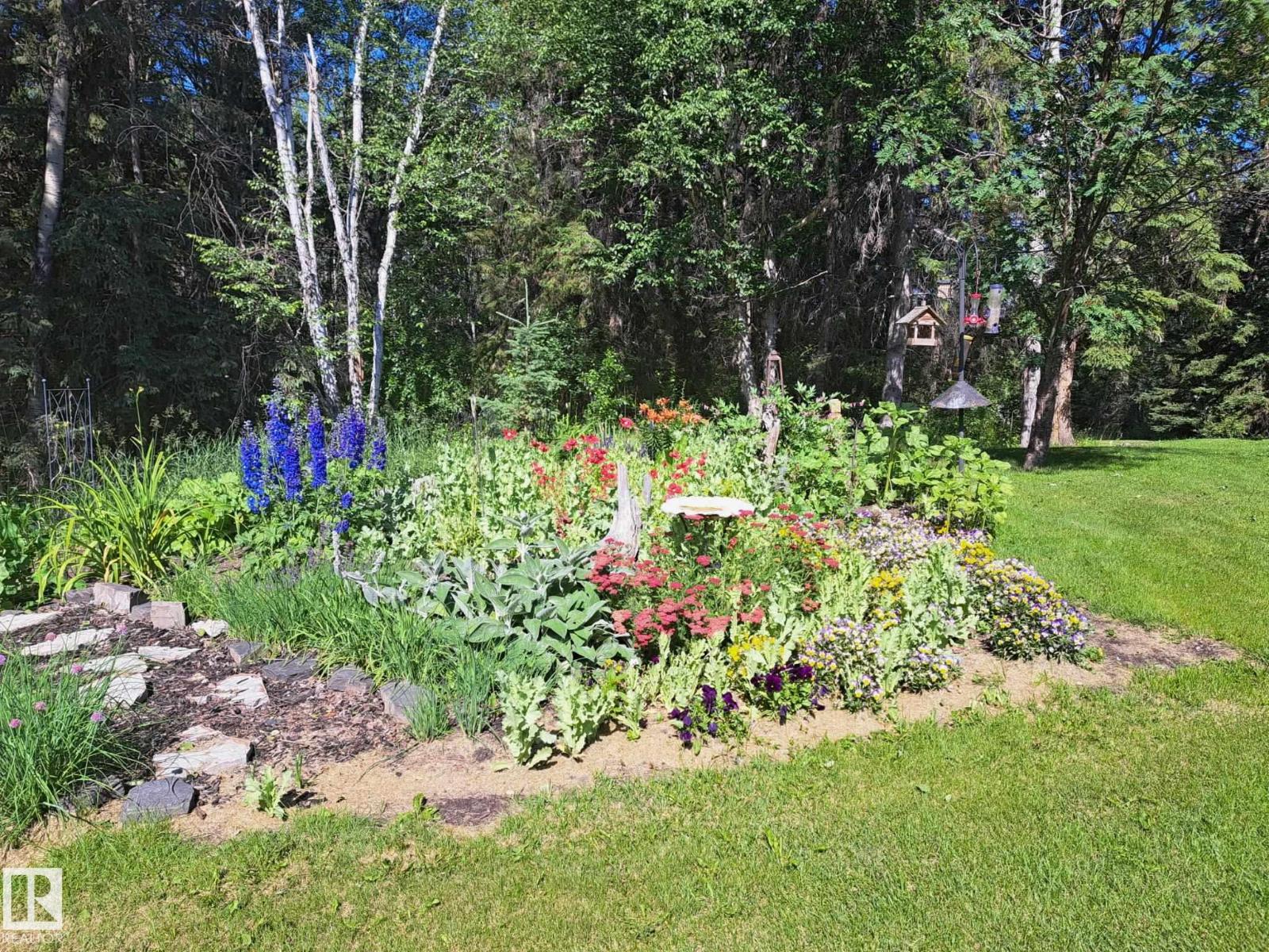 49308 Rge Road 65, Rural Brazeau County, Alberta T7A 1A0 - Photo 3 - E4478357