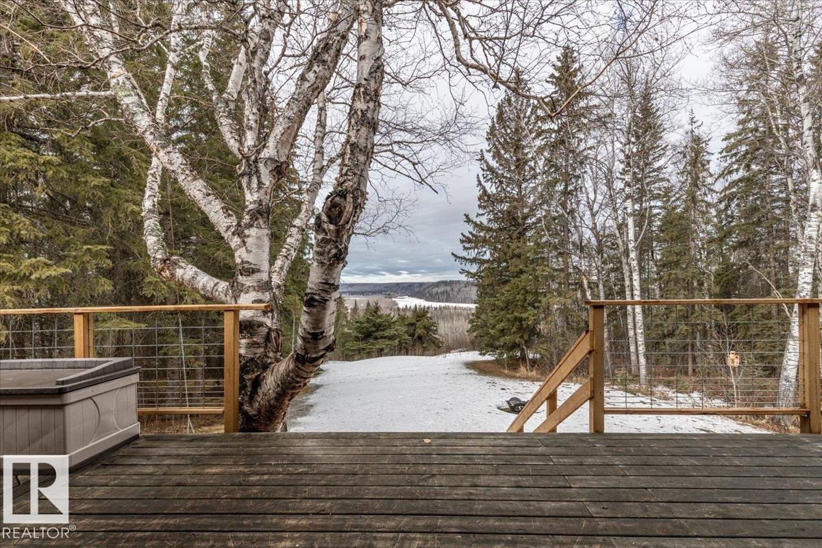 49308 Rge Road 65, Rural Brazeau County, Alberta T7A 1A0 - Photo 47 - E4478357