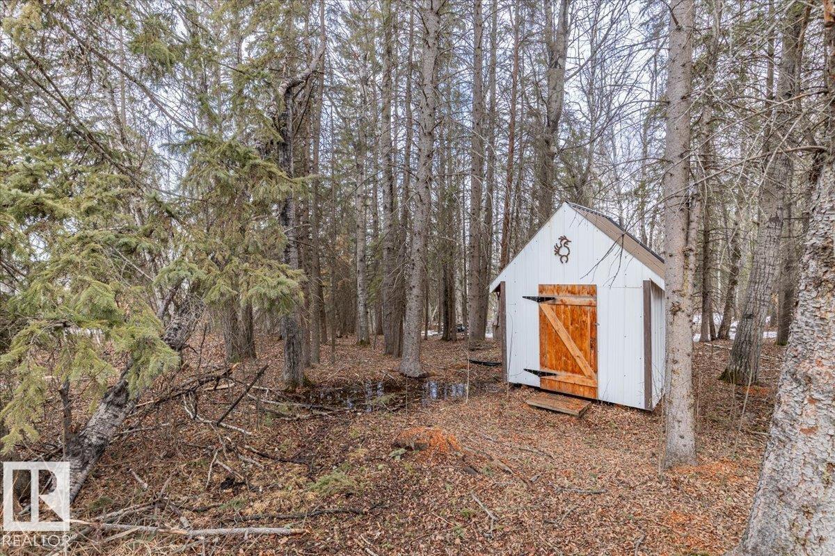 49308 Rge Road 65, Rural Brazeau County, Alberta T7A 1A0 - Photo 51 - E4478357