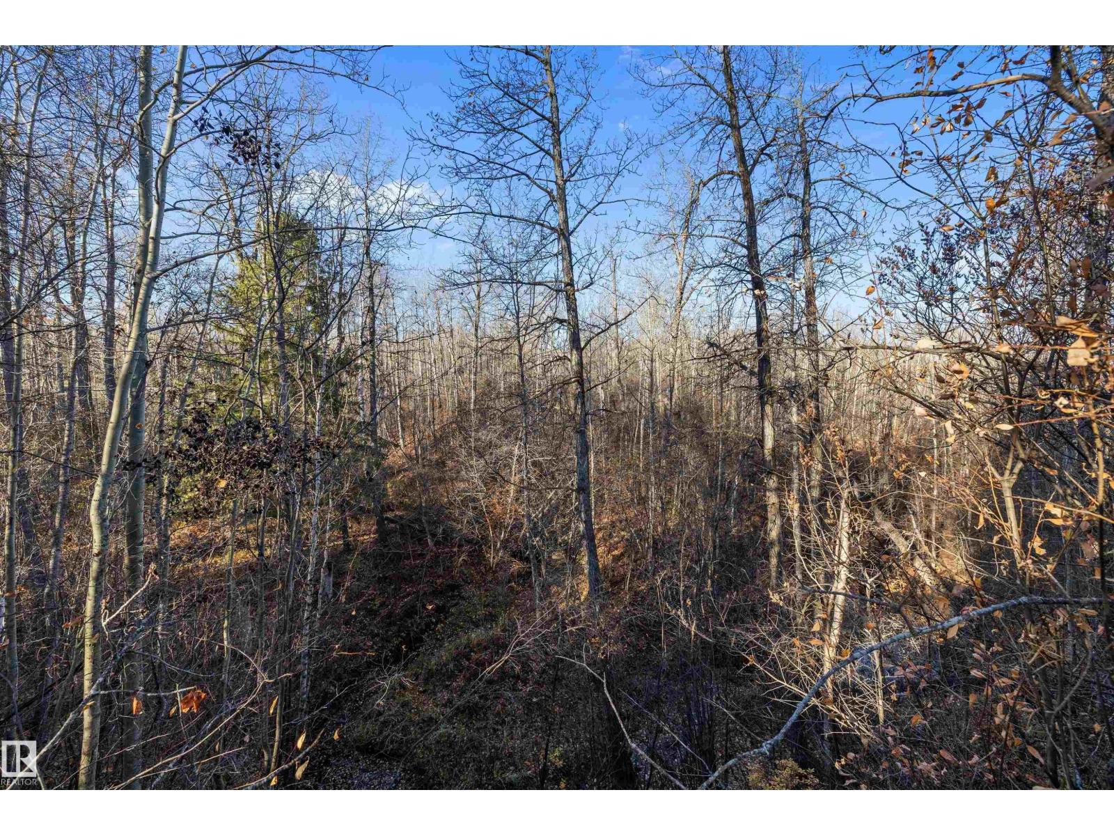 619 6th St, Rural Wetaskiwin County, Alberta  T0C 2V0 - Photo 49 - E4478392