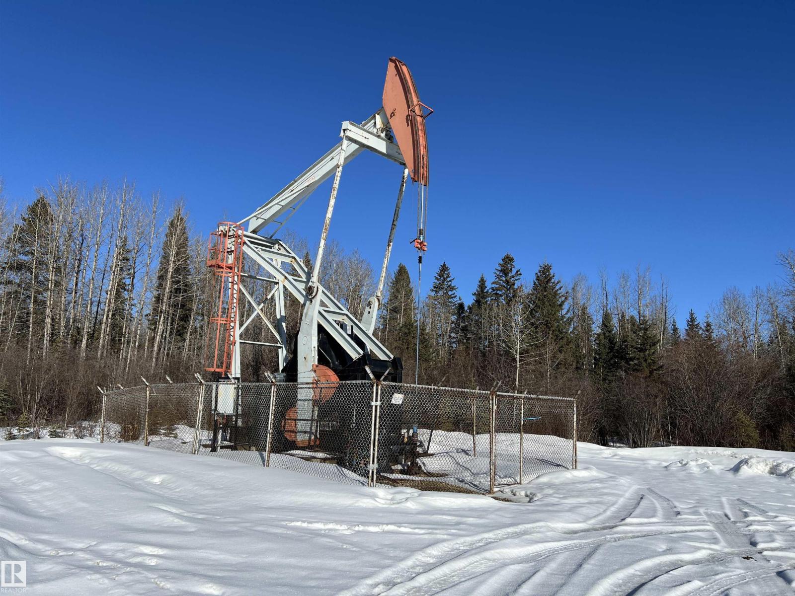 Se-12-49-8 W5m Brazeau County Se, Rural Brazeau County, Alberta T0E 1Z0 - Photo 11 - E4478592