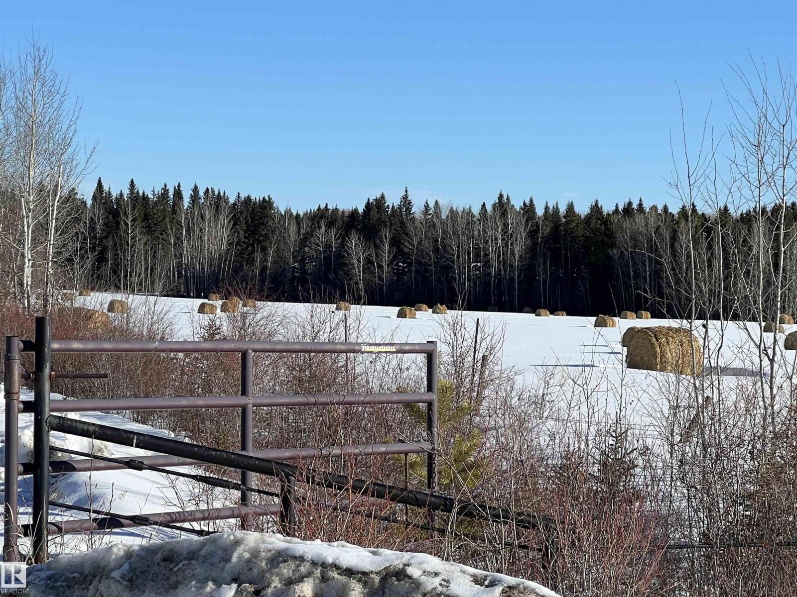 Se-12-49-8 W5m Brazeau County Se, Rural Brazeau County, Alberta T0E 1Z0 - Photo 14 - E4478592