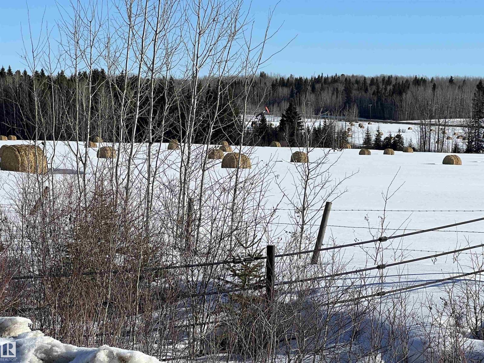 Se-12-49-8 W5m Brazeau County Se, Rural Brazeau County, Alberta T0E 1Z0 - Photo 15 - E4478592