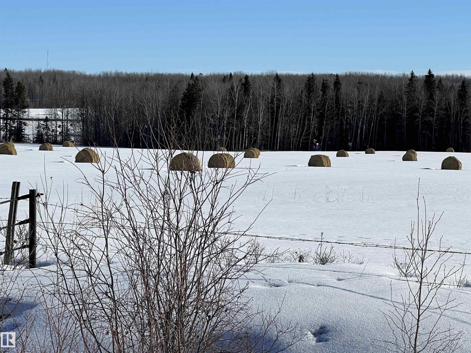 Se-12-49-8 W5m Brazeau County Se, Rural Brazeau County, Alberta T0E 1Z0 - Photo 16 - E4478592