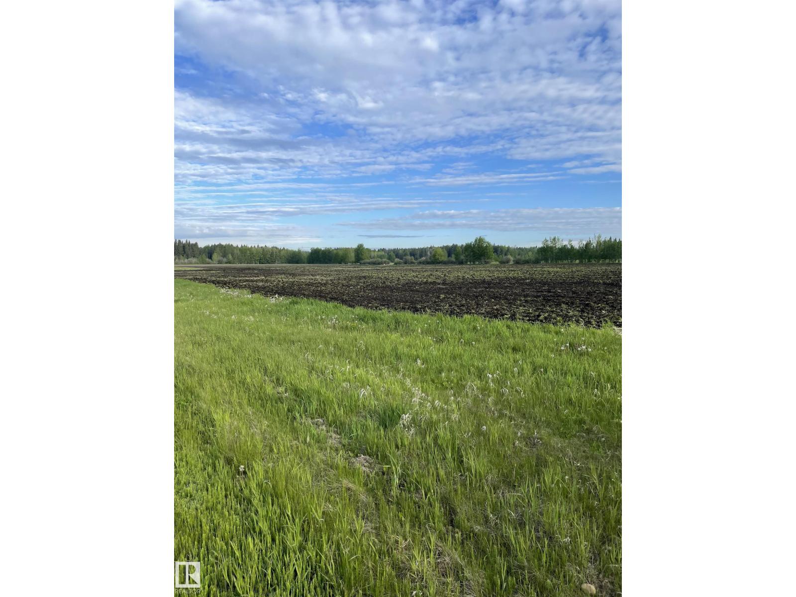 Se-12-49-8 W5m Brazeau County Se, Rural Brazeau County, Alberta T0E 1Z0 - Photo 4 - E4478592