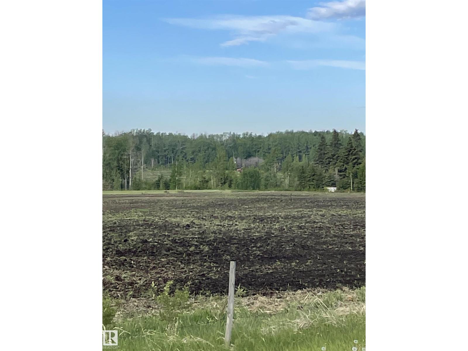 Se-12-49-8 W5m Brazeau County Se, Rural Brazeau County, Alberta T0E 1Z0 - Photo 5 - E4478592