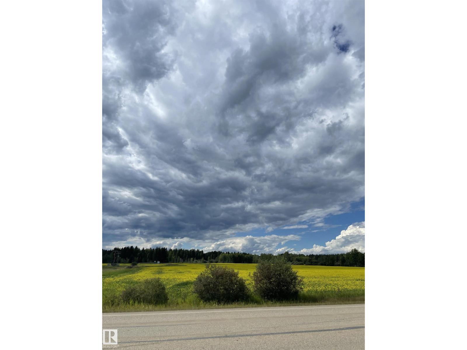 Se-12-49-8 W5m Brazeau County Se, Rural Brazeau County, Alberta T0E 1Z0 - Photo 6 - E4478592