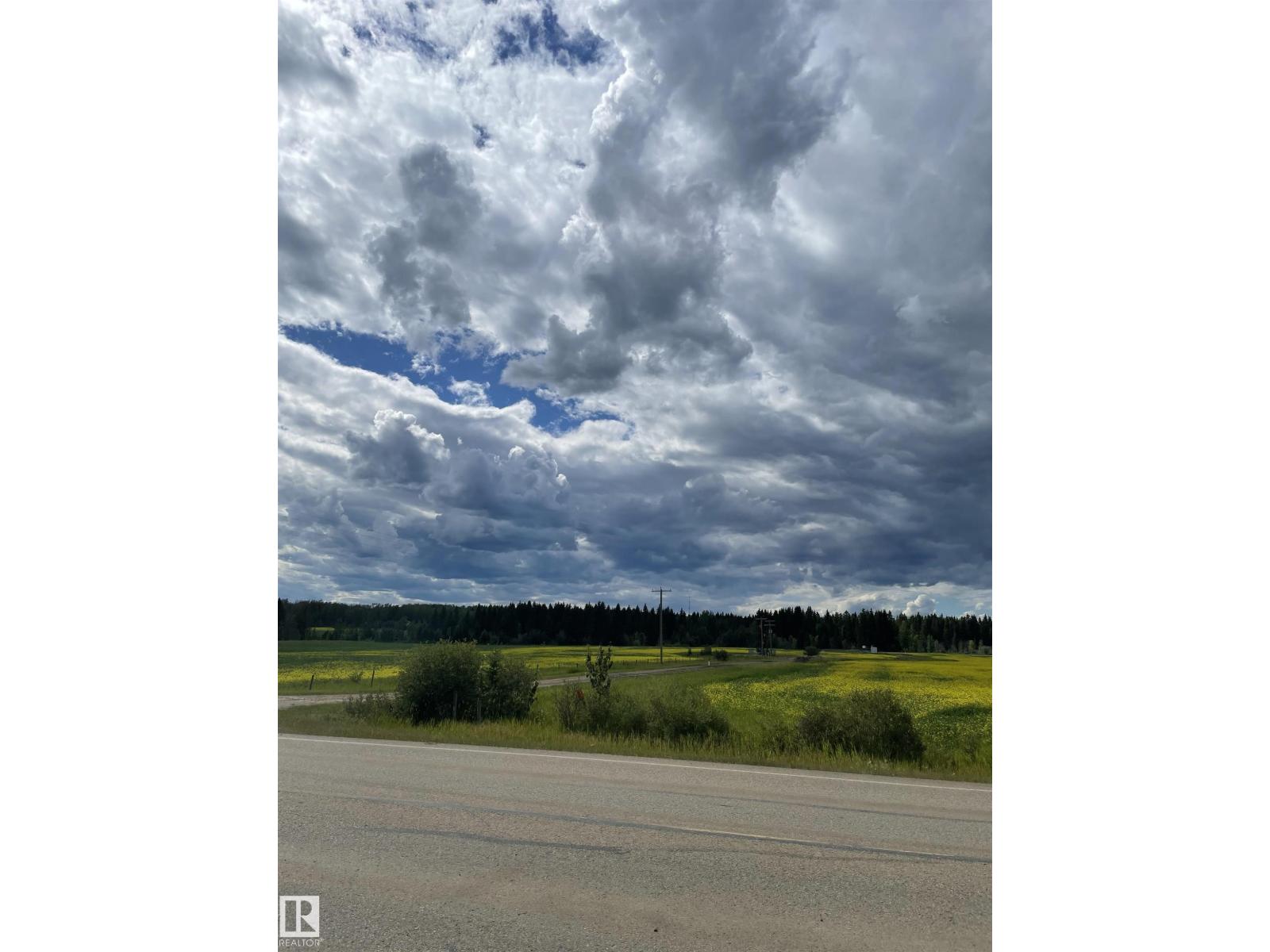 Se-12-49-8 W5m Brazeau County Se, Rural Brazeau County, Alberta T0E 1Z0 - Photo 7 - E4478592