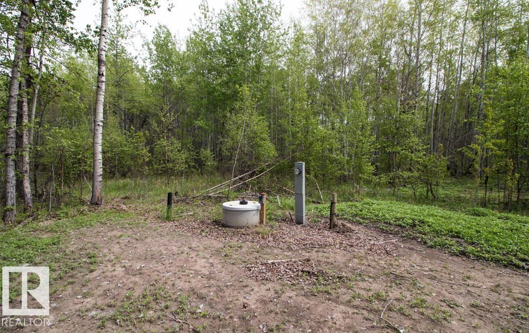#131 5519 Twp Rd 550, Rural Lac Ste. Anne County, Alberta  T0E 0L0 - Photo 7 - E4478595