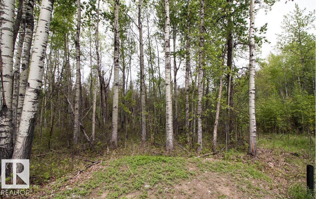 #131 5519 Twp Rd 550, Rural Lac Ste. Anne County, Alberta  T0E 0L0 - Photo 8 - E4478595