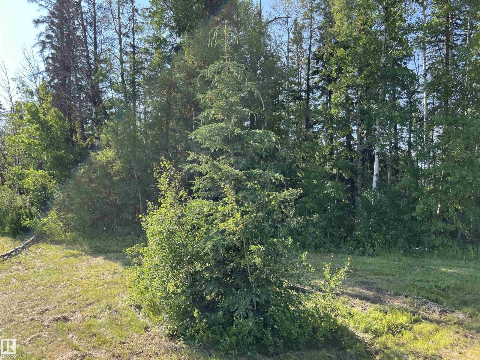 Se-12-49-8- W5m (Lot 2), Rural Brazeau County, Alberta T0E 1Z0 - Photo 10 - E4478622