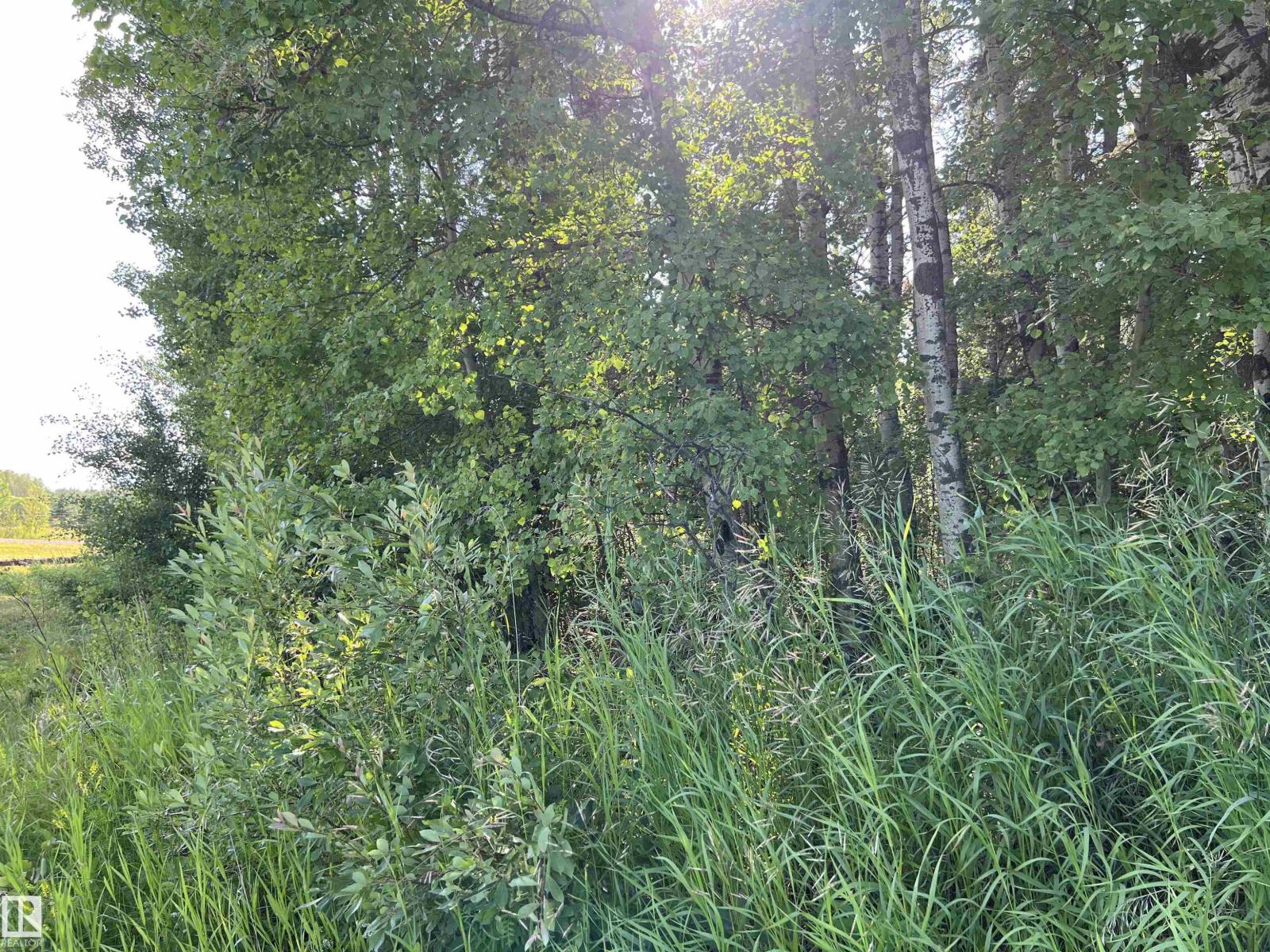 Se-12-49-8- W5m (Lot 2), Rural Brazeau County, Alberta T0E 1Z0 - Photo 11 - E4478622
