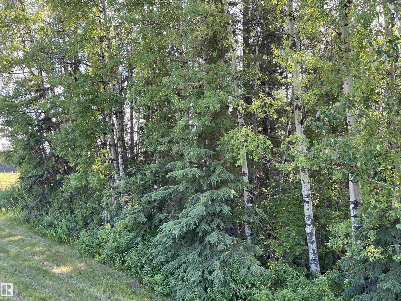 Se-12-49-8- W5m (Lot 2), Rural Brazeau County, Alberta T0E 1Z0 - Photo 12 - E4478622