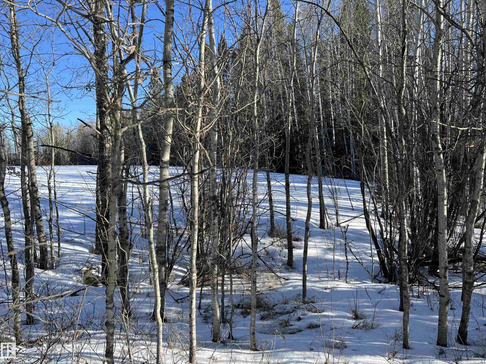 Se-12-49-8-W5m Brazeau County, Rural Brazeau County, Alberta  T0E 1Z0 - Photo 2 - E4478622