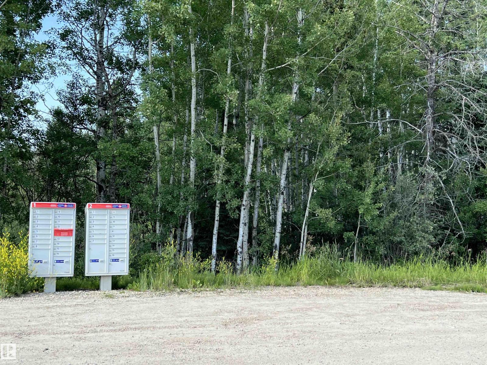 Se-12-49-8- W5m (Lot 2), Rural Brazeau County, Alberta T0E 1Z0 - Photo 5 - E4478622