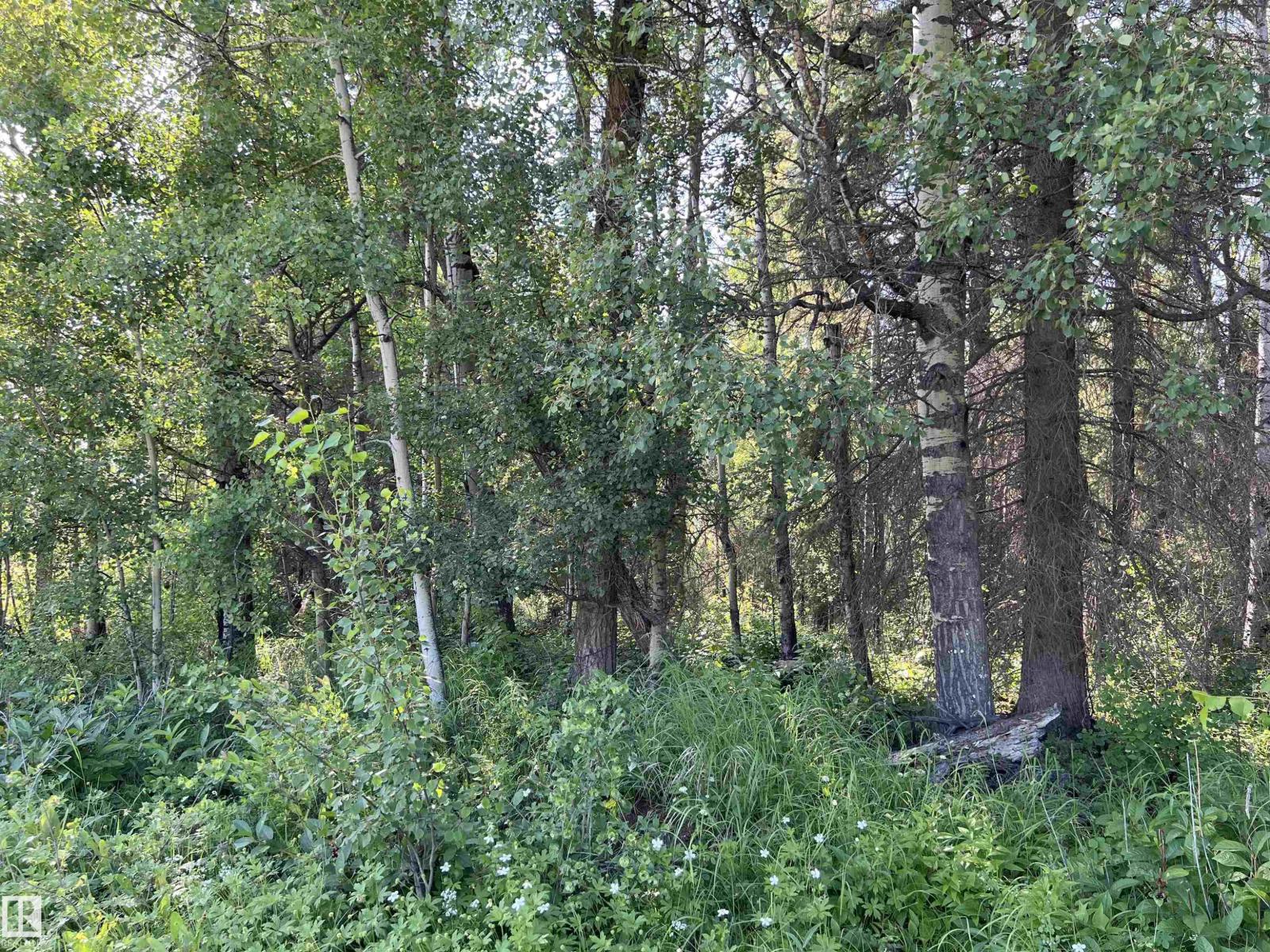 Se-12-49-8- W5m (Lot 2), Rural Brazeau County, Alberta T0E 1Z0 - Photo 6 - E4478622