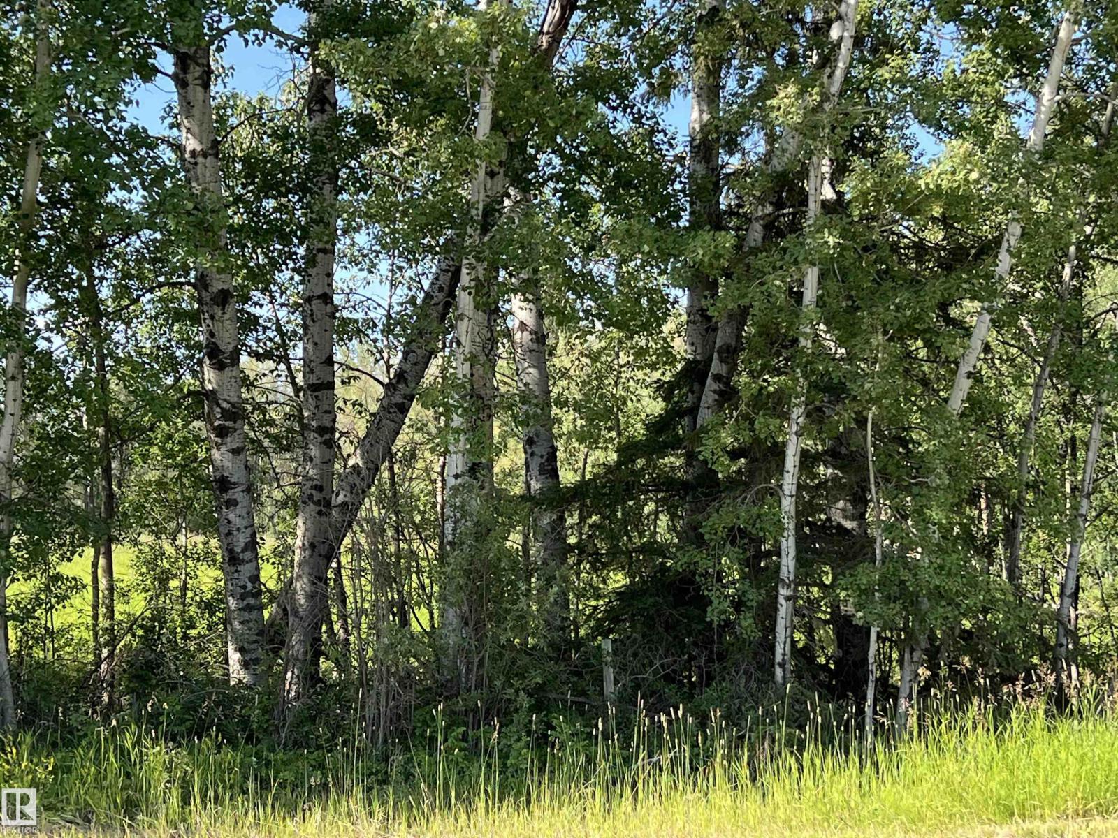 Se-12-49-8- W5m (Lot 2), Rural Brazeau County, Alberta T0E 1Z0 - Photo 7 - E4478622