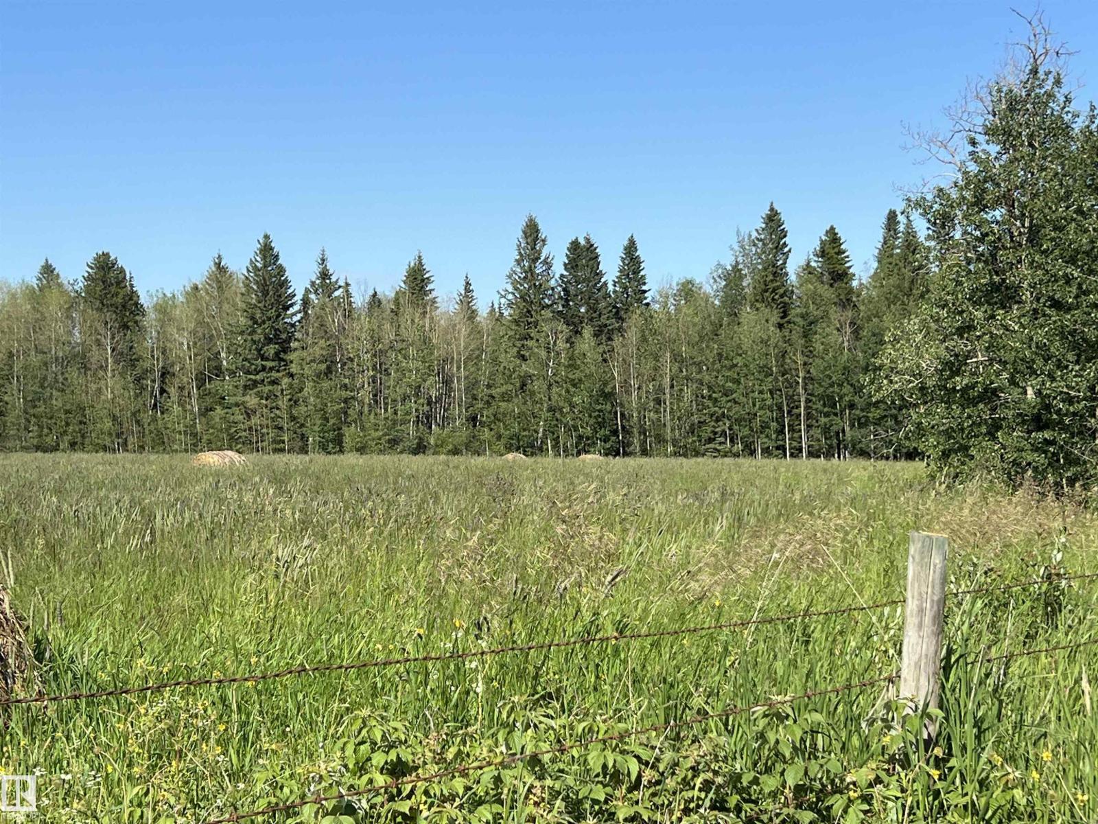 Se-12-49-8- W5m (Lot 2), Rural Brazeau County, Alberta T0E 1Z0 - Photo 8 - E4478622