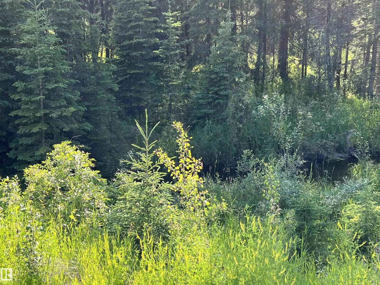 Se-12-49-8- W5m (Lot 2), Rural Brazeau County, Alberta T0E 1Z0 - Photo 9 - E4478622