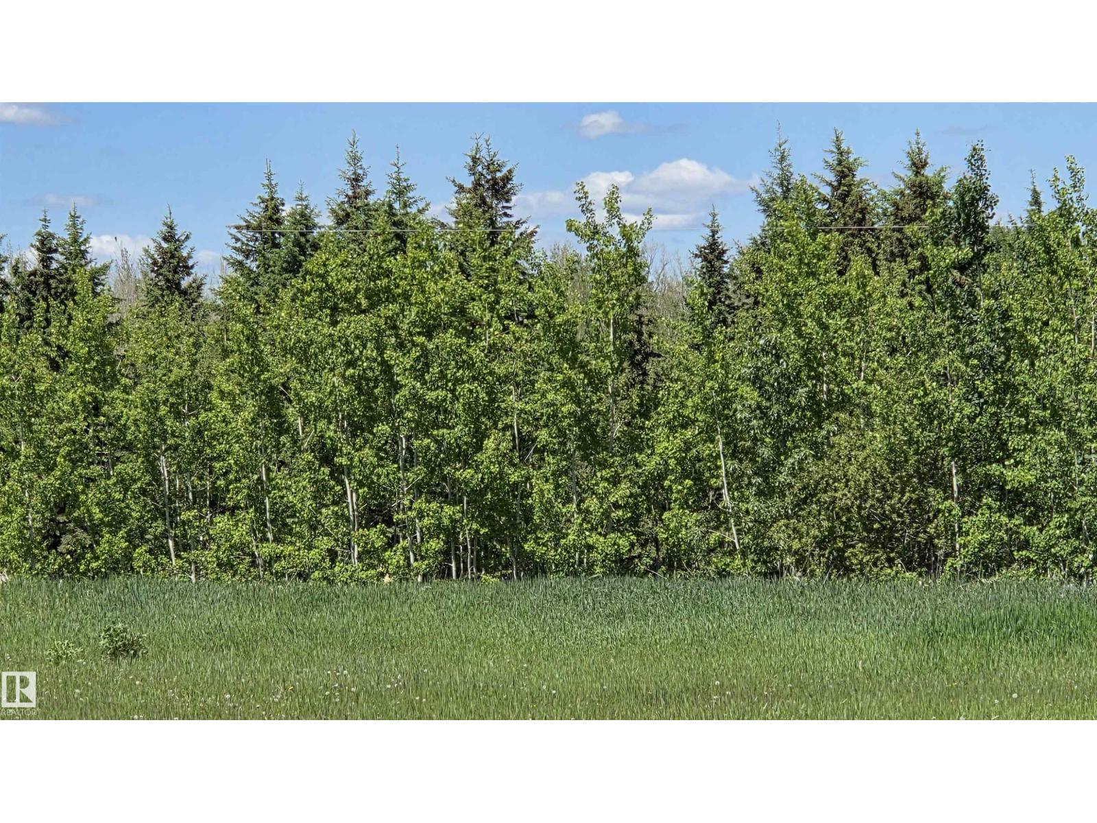 Twp 470 Hwy# 771, Rural Wetaskiwin County, Alberta T0C 2V0 - Photo 13 - E4478982