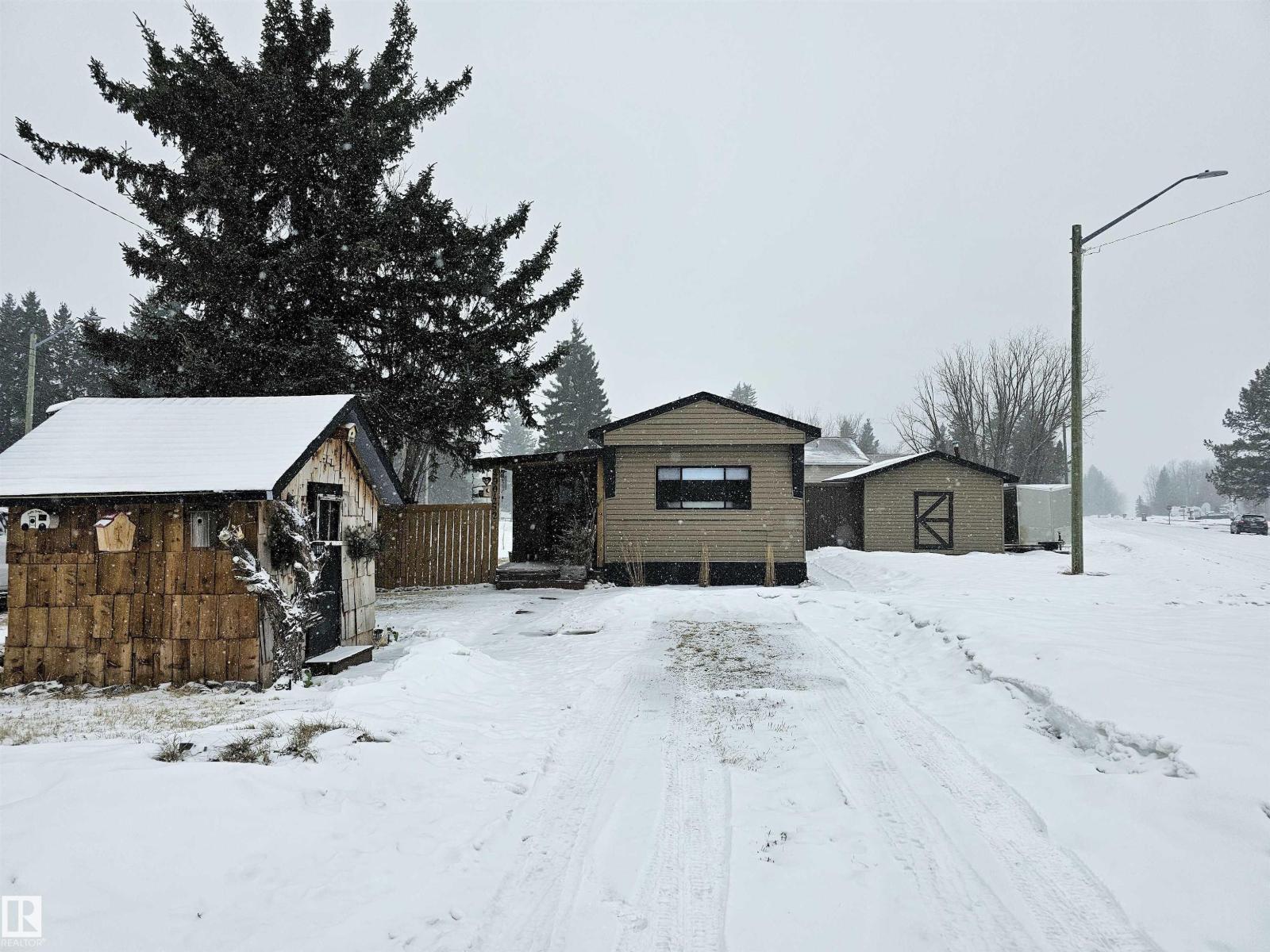 4904 52 Av, Breton, Alberta  T0C 0B8 - Photo 43 - E4479212