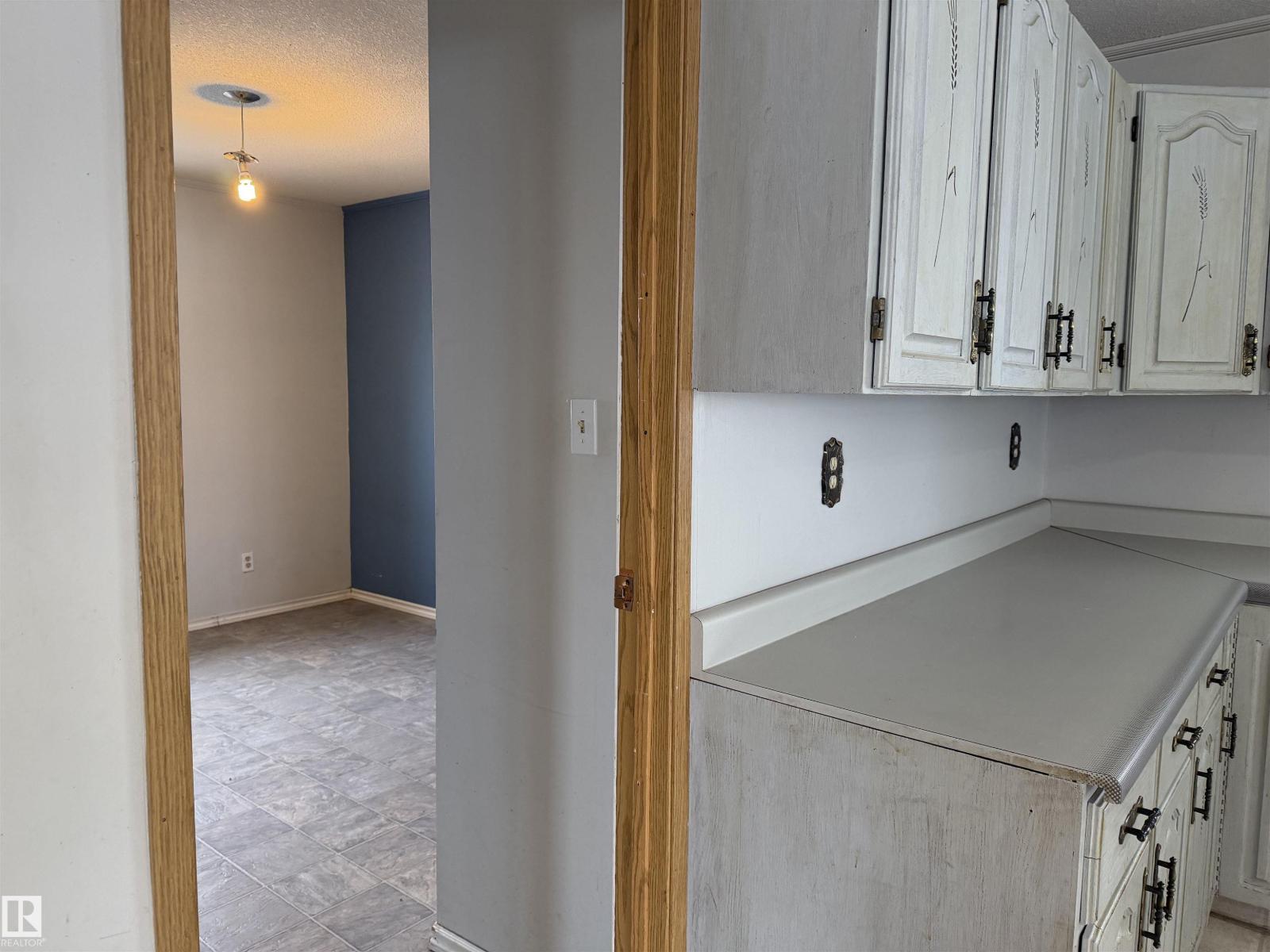 4847 50 Av, Sangudo, Alberta T0E 2A0 - Photo 31 - E4479267