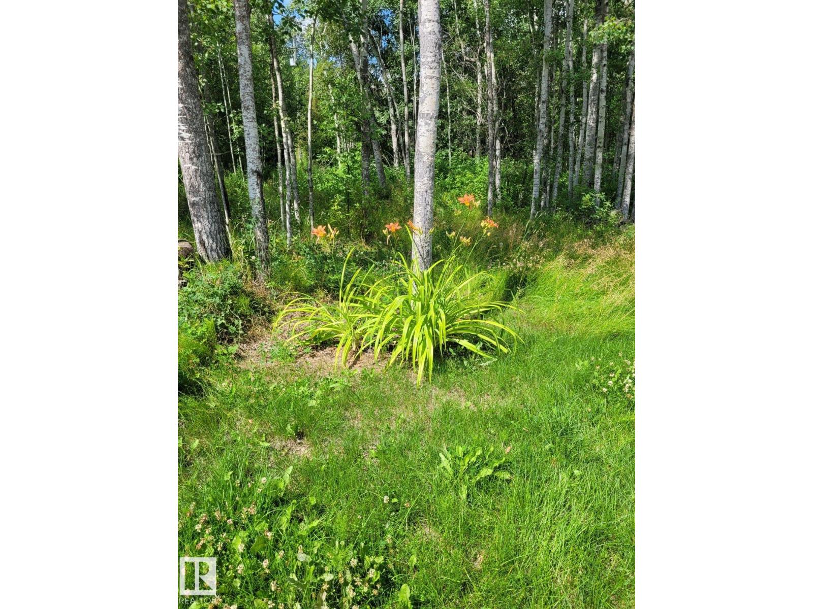 #17 56110 Rge Road 13, Rural Lac Ste. Anne County, Alberta  T0E 1V0 - Photo 15 - E4479388